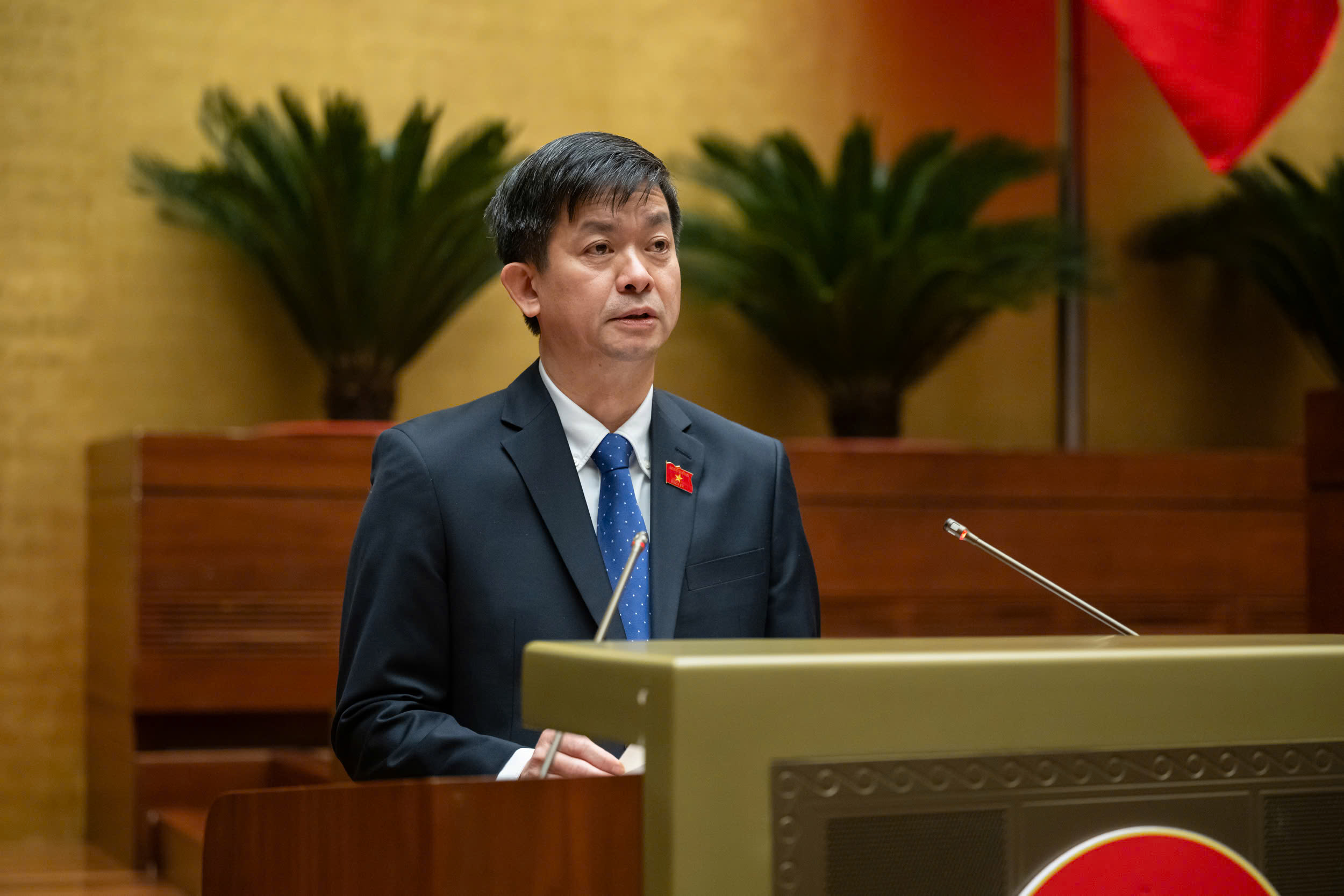 Le Quang Tung